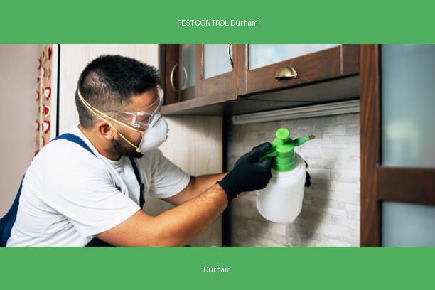 PEST CONTROL Durham